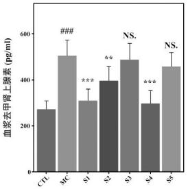 norepinephrine